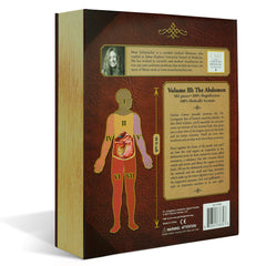 Human Abdomen Anatomy Jigsaw Puzzle | Unique Shaped Science Puzzles with Accurate Medical Illustrations