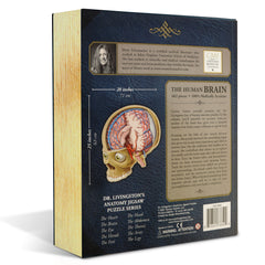 Human Brain Anatomy Jigsaw Puzzle | Dr. Livingston's Unique Shaped Science Puzzles