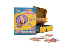 Human Brain Floor Kids Puzzle - Dr. Livingston's Unique Shaped 100 Piece Science Puzzles for Kids