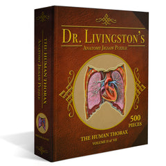 Human Thorax Anatomy Jigsaw Puzzle | Unique Shaped Science Puzzles with Accurate Medical Illustrations