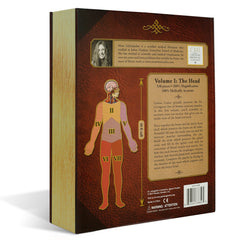 Human Head Anatomy Jigsaw Puzzle | Unique Shaped Science Puzzles with Accurate Medical Illustrations