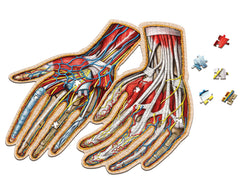 Human Anatomy Organ Puzzle Bundle | Unique Shaped Science Puzzles