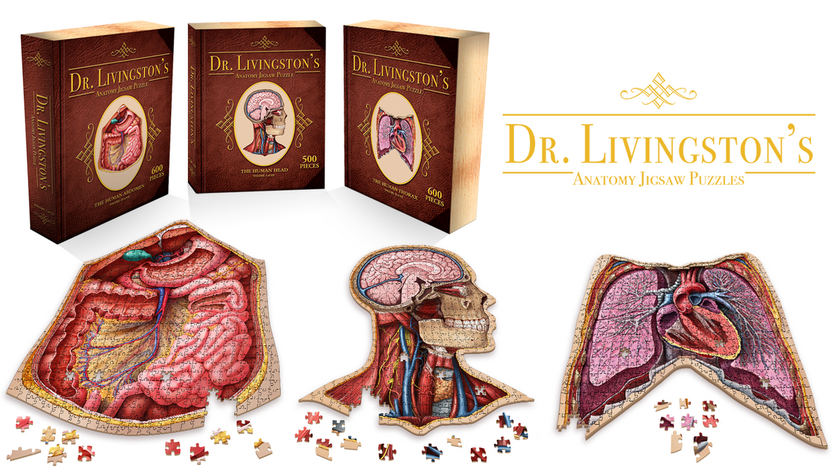 Human Anatomy Jigsaw Puzzle Bundle | Unique Shaped Science Puzzles with Accurate Medical Illustrations