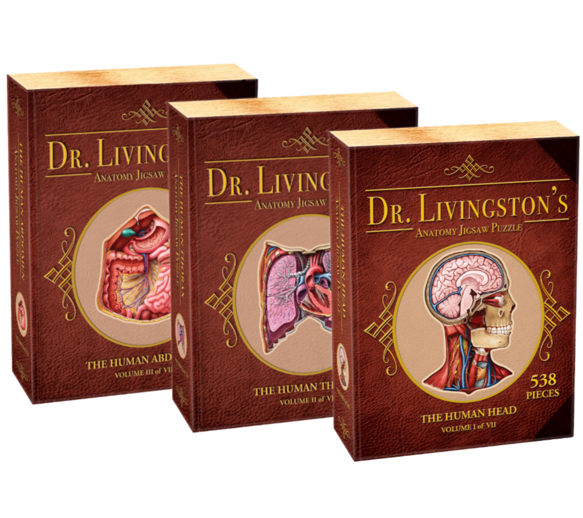 Human Anatomy Jigsaw Puzzle Bundle | Unique Shaped Science Puzzles with Accurate Medical Illustrations