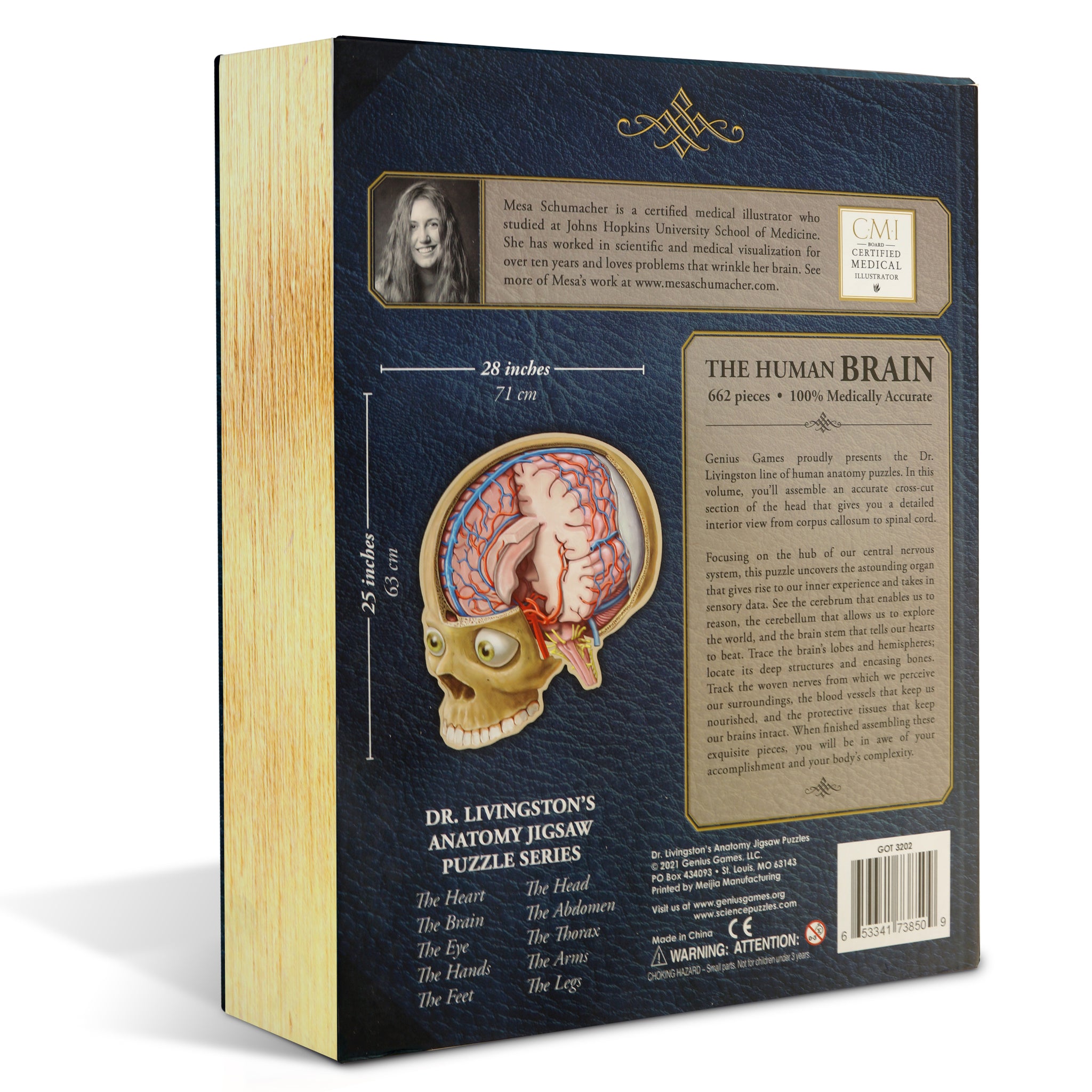 Human Brain Anatomy Jigsaw Puzzle | Unique Shaped Science Puzzles