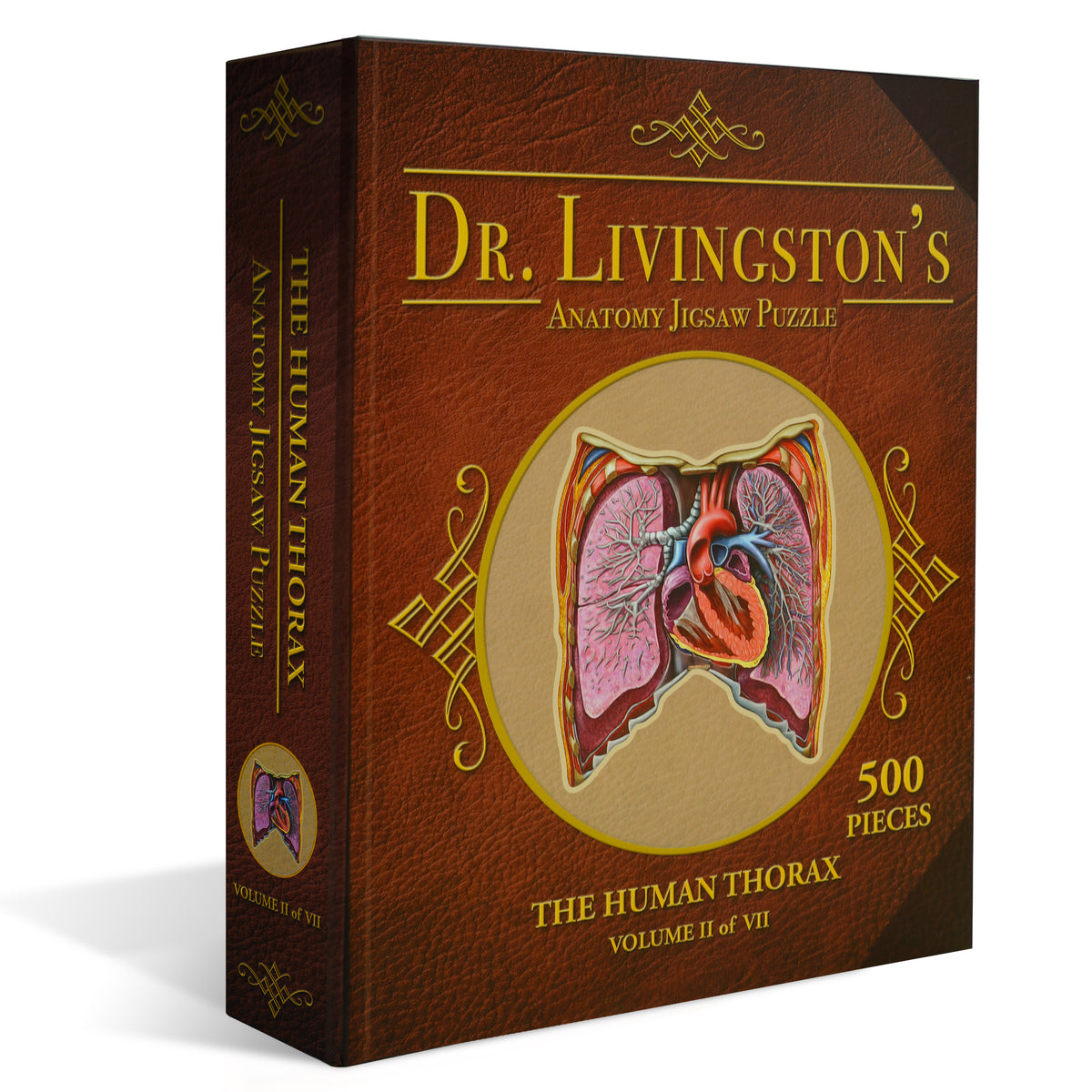 Human Thorax Anatomy Jigsaw Puzzle | Unique Shaped Science Puzzles with Accurate Medical Illustrations