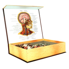 Human Head Anatomy Jigsaw Puzzle | Unique Shaped Science Puzzles with Accurate Medical Illustrations