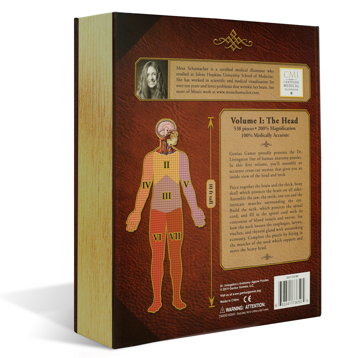 Human Head Anatomy Jigsaw Puzzle | Unique Shaped Science Puzzles with Accurate Medical Illustrations