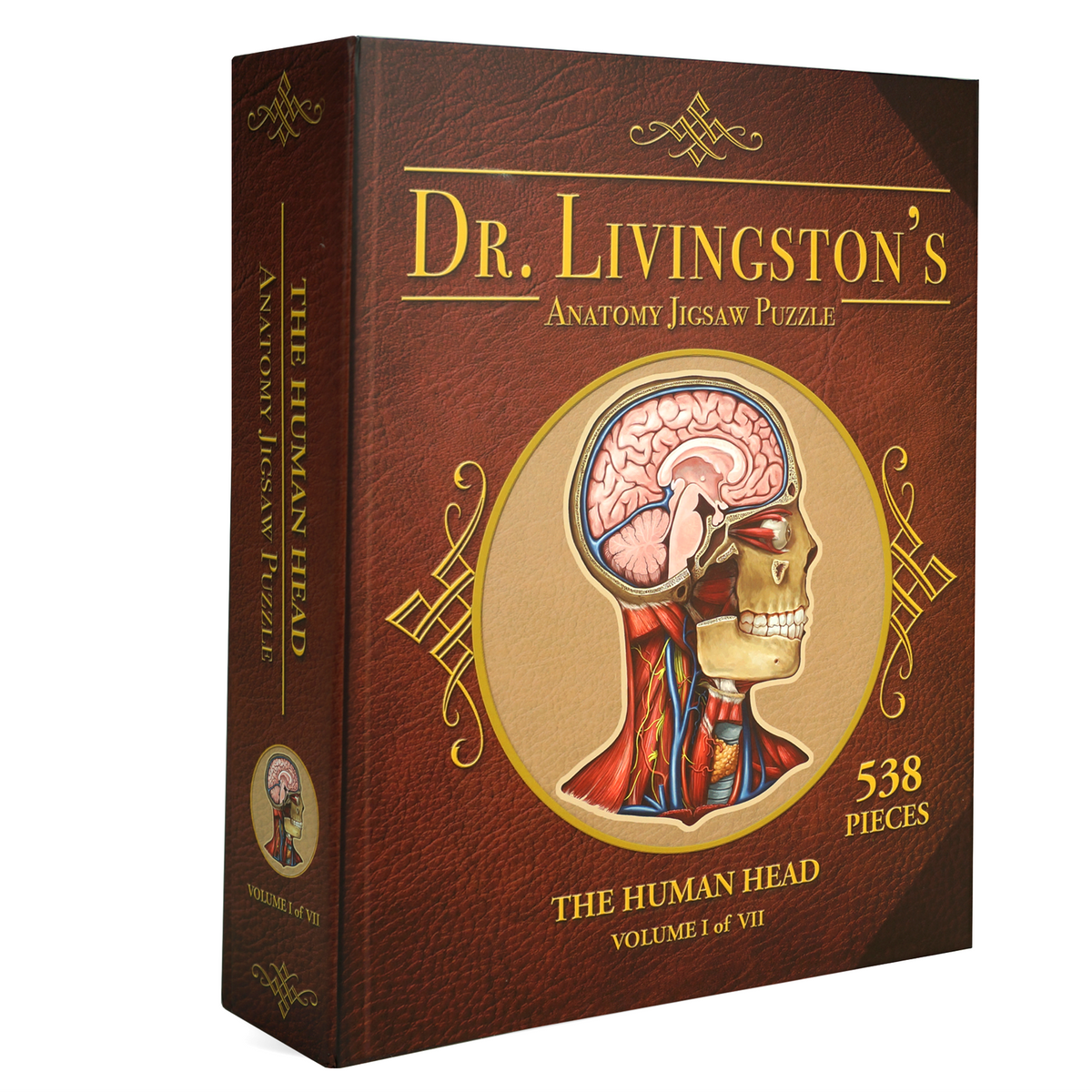 Human Head Anatomy Jigsaw Puzzle | Unique Shaped Science Puzzles with Accurate Medical Illustrations