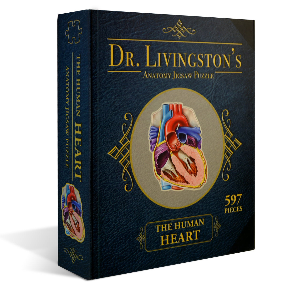 Human Heart Anatomy Jigsaw Puzzle | Dr. Livingston's Unique Shaped Science Puzzles