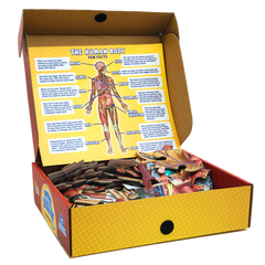 4ft Tall 100-Piece Full Body Human Anatomy Puzzle - For Kids!