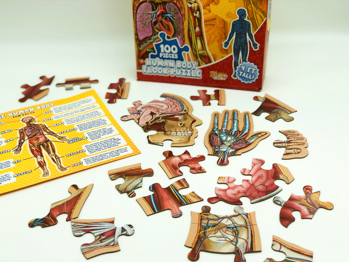 4ft Tall 100-Piece Full Body Human Anatomy Puzzle - For Kids!
