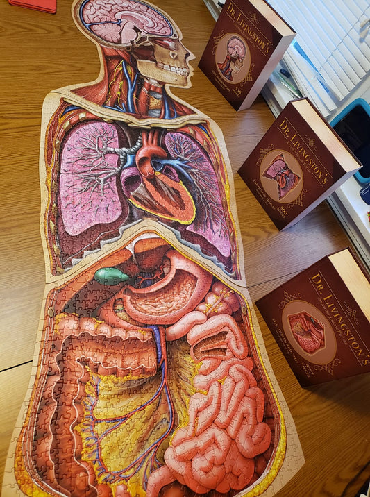 Human Anatomy Jigsaw Puzzle Bundle | Unique Shaped Science Puzzles with Accurate Medical Illustrations