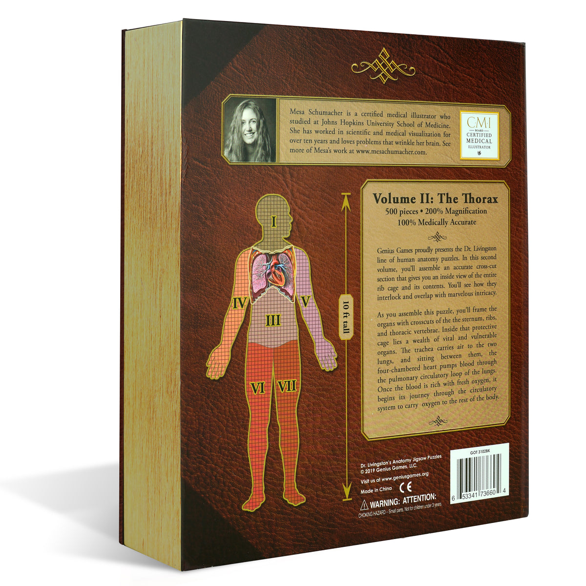 Human Thorax Anatomy Jigsaw Puzzle | Unique Shaped Science Puzzles with Accurate Medical Illustrations