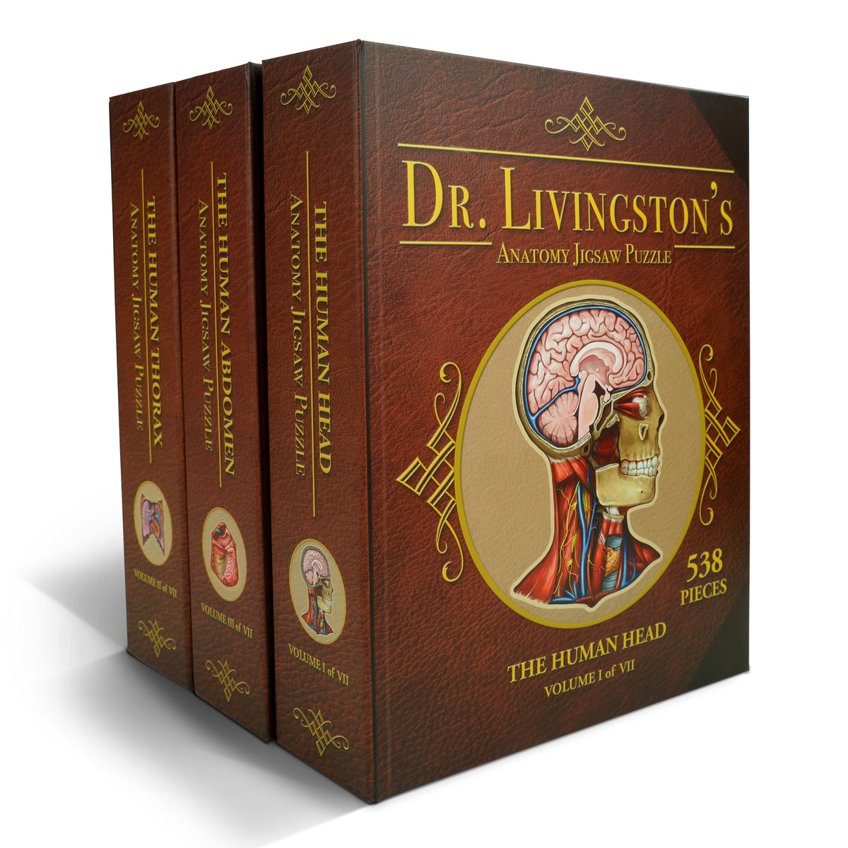 Human Anatomy Jigsaw Puzzle Bundle | Unique Shaped Science Puzzles with Accurate Medical Illustrations